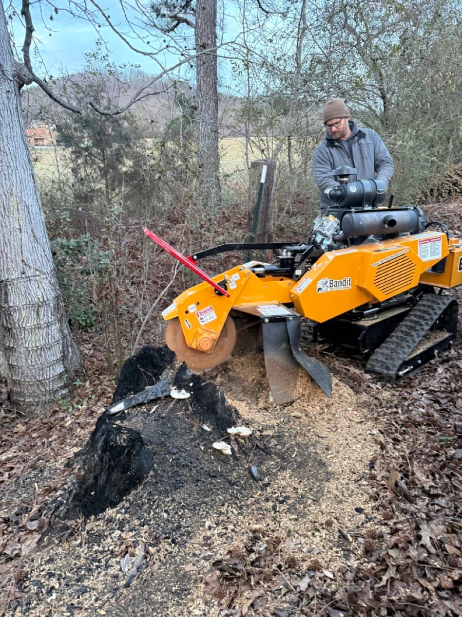How Long Does Stump Grinding Take?