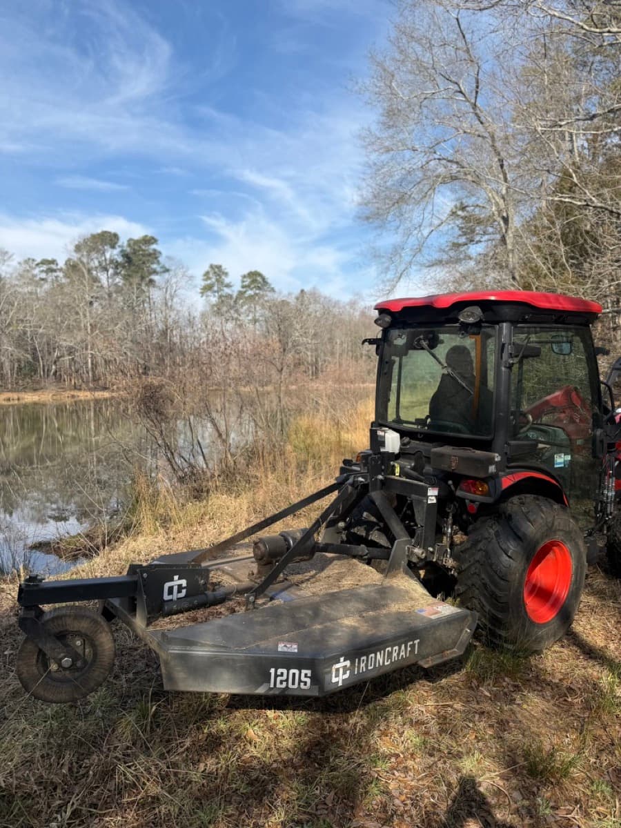 Stump Grinding vs Stump Removal: Which is Right for You?