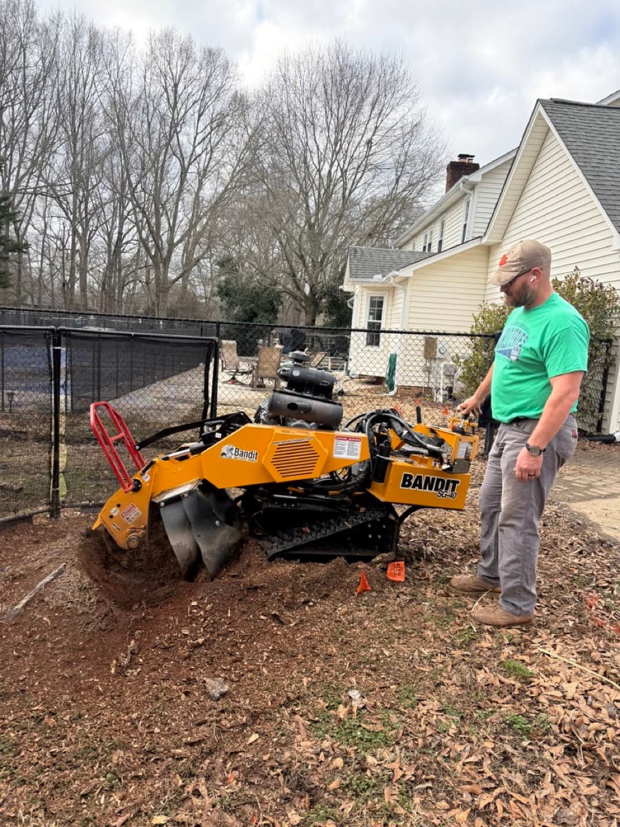 Residential backyard stump grinding in Greenville SC by Nelson Stump & Land Clearing