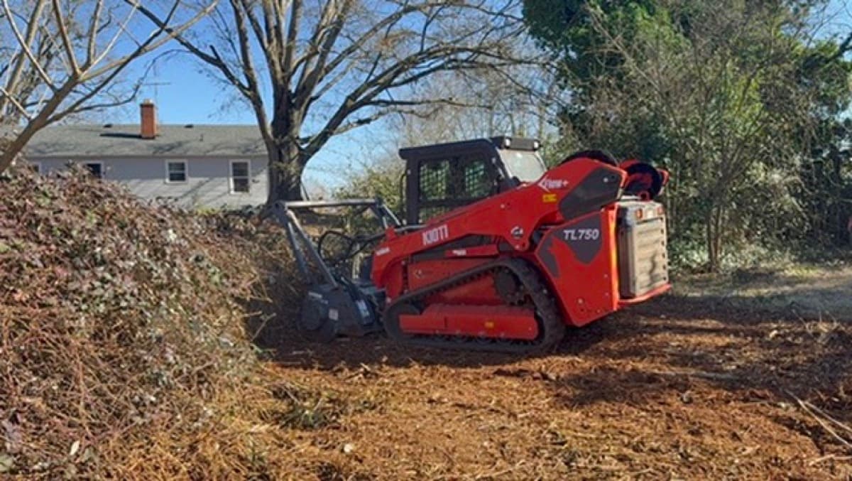 Forestry mulching with Kioti skid steer in Anderson SC by Nelson Stump & Land Clearing