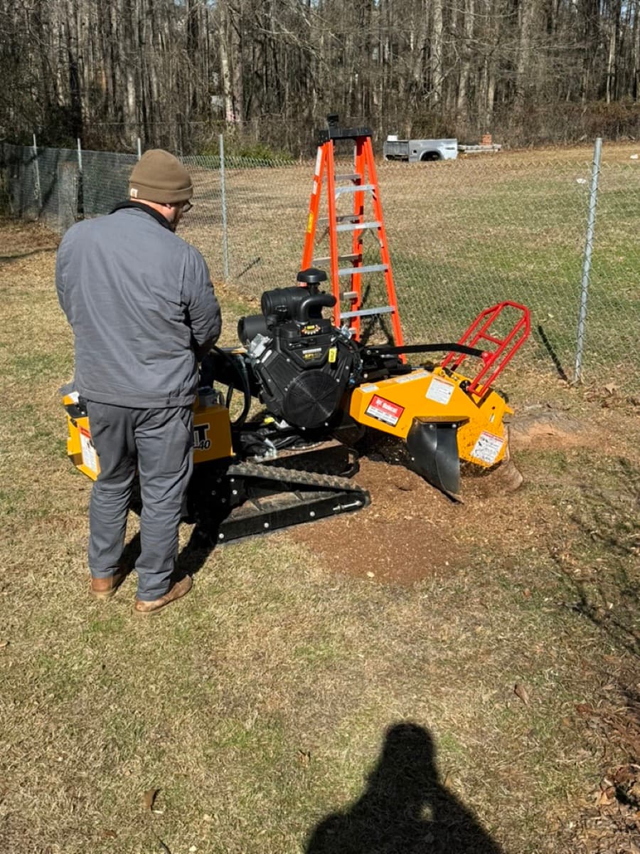 Professional stump grinding at a residential brick home in Simpsonville SC