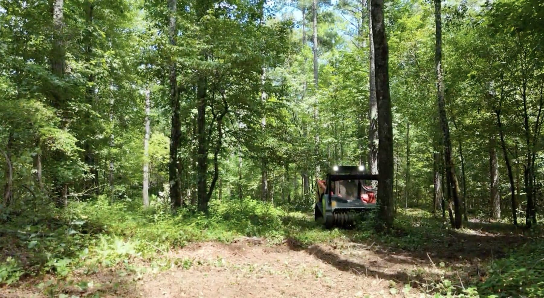 Kioti track loader with a Baumalight forestry mulcher clearing underbrush between hardwoods in Upstate SC