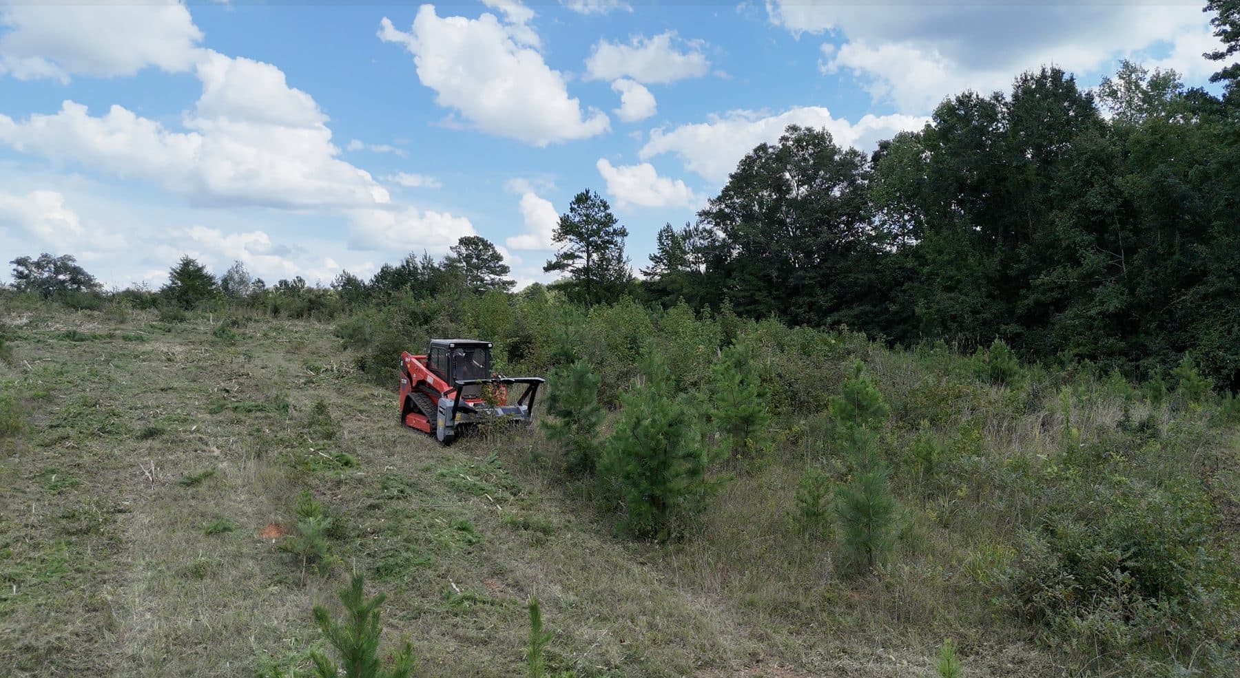 Kioti track loader with forestry mulcher clearing volunteer pines from overgrown acreage in Upstate SC